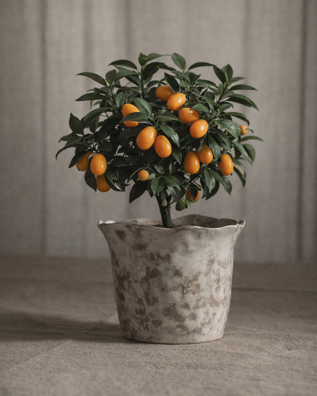 Wavy Planter in Stone